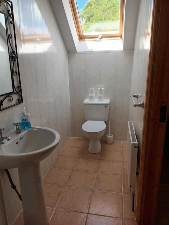 Rathgillen House Villa Nobber Dış mekan fotoğraf
